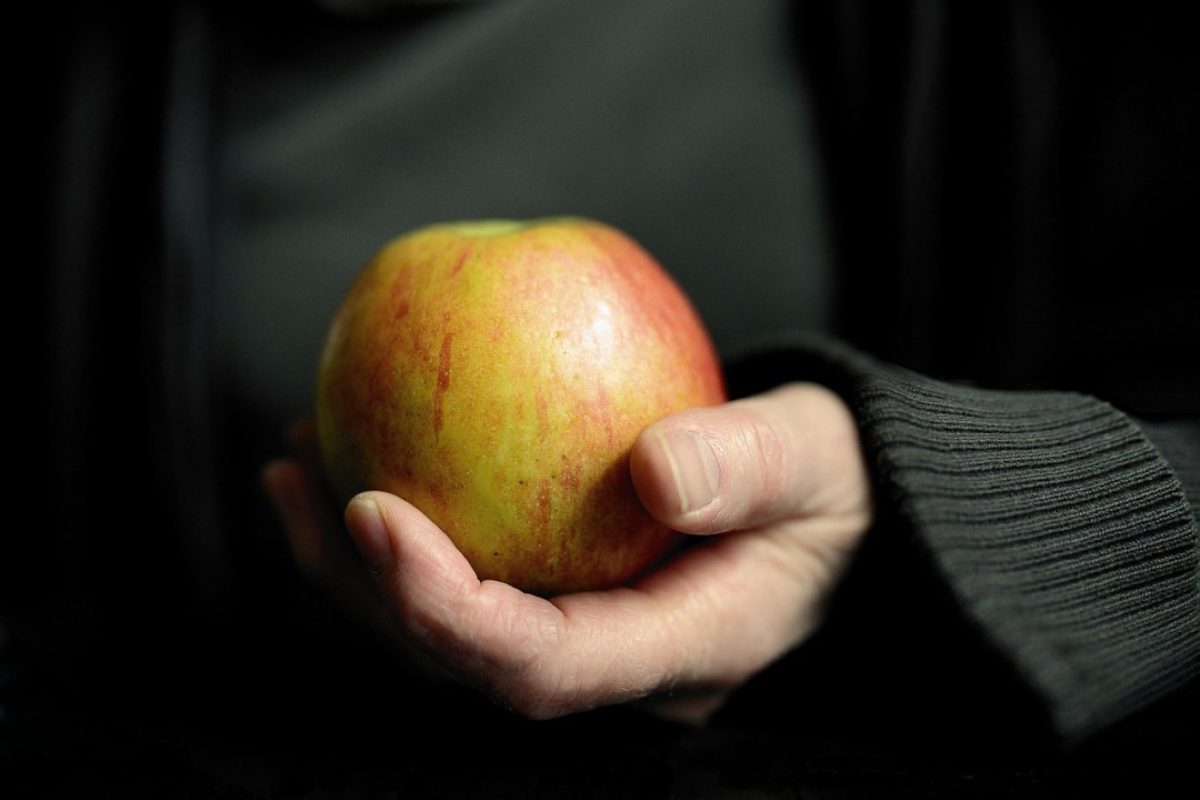 Jøtul ou Godin : quel poêle à bois choisir ?