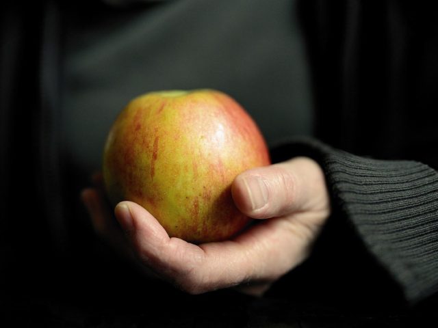 Jøtul ou Godin : quel poêle à bois choisir ?